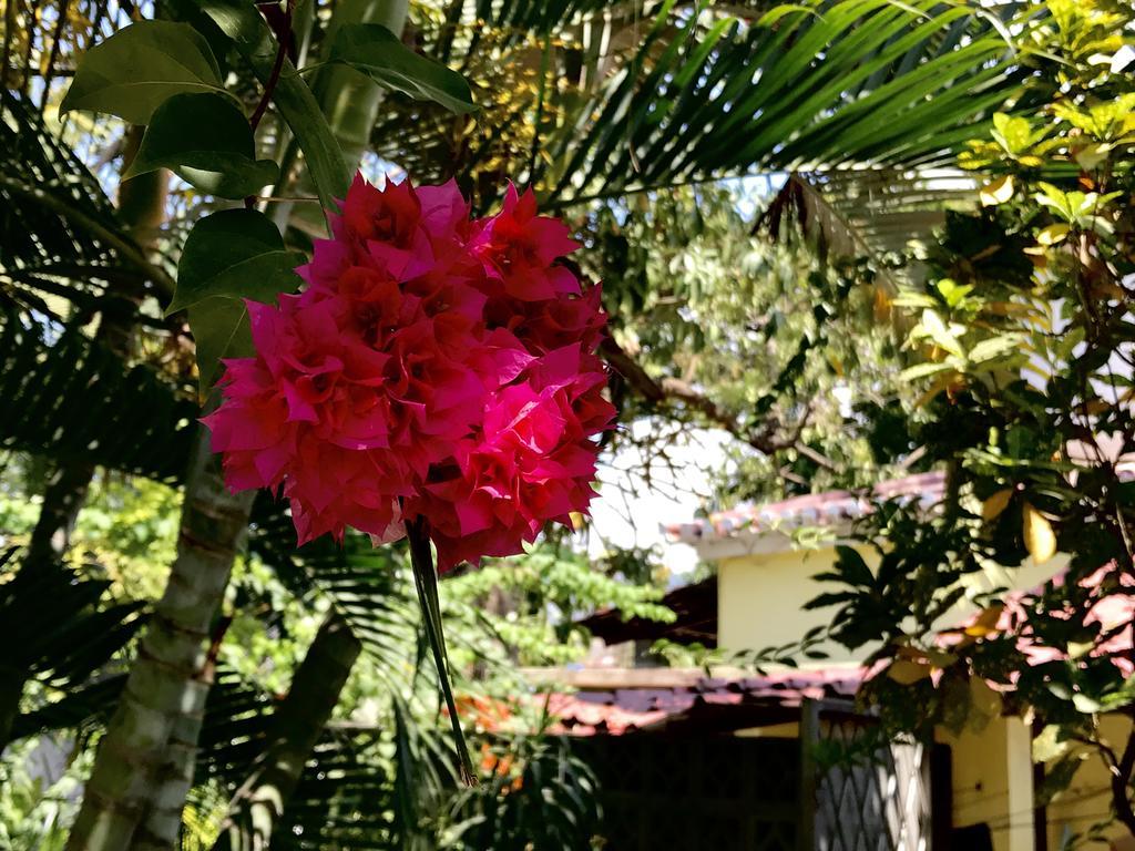 Casa Do Sandalo Boutique Guest House Dili Exterior foto